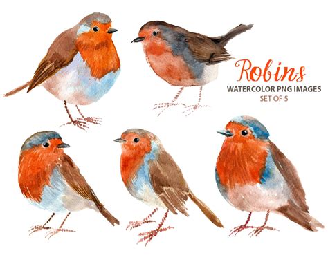 Robin Clipart Woodland Nursery Clip Art Watercolor Bird Illustration Etsy