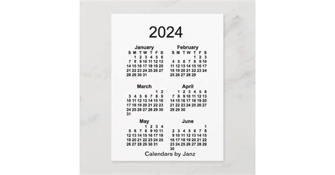 2024 White 6 Month Mini Calendar By Janz Postcard Zazzle