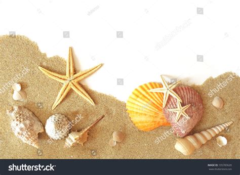 Beach Sand Shells And Seastar Border On White Stock Photo 105783620