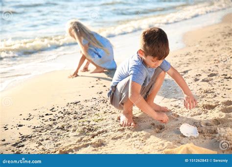 Cute Little Children Gathering Sea Shells On Beach Stock Image Image