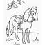 Horse Color Sheet To Print Out  Coloring Books