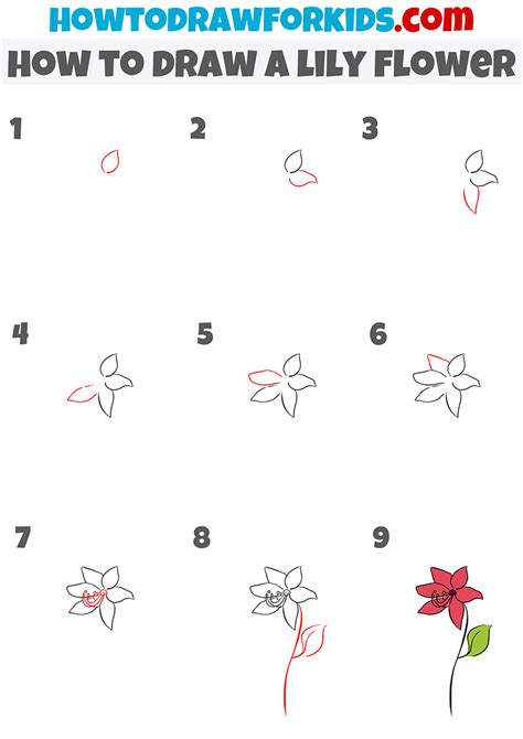 How To Draw A Lily Flower Easy Drawing Tutorial For Kids