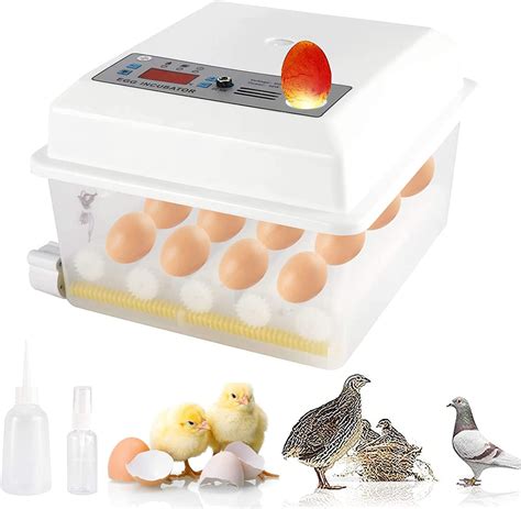 buy yaeccc egg incubator automatic egg hatching incubator temperature control for hatching