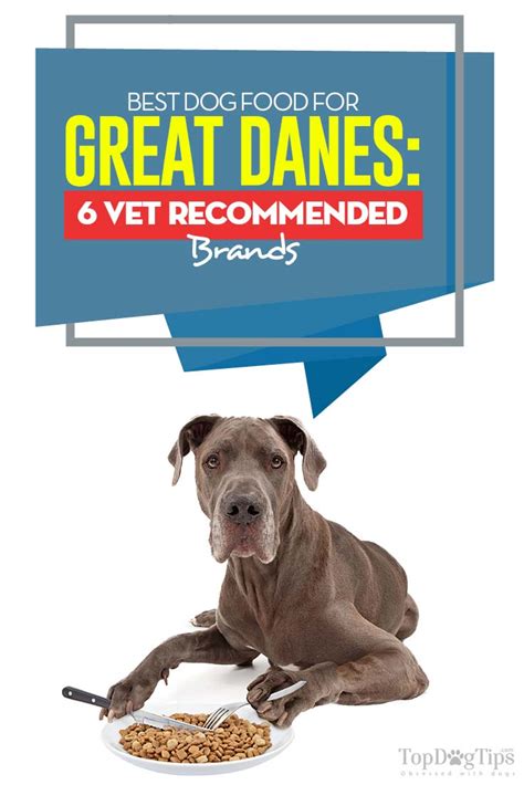 When we compiled our list of the best dog foods for puppies, dr. Best Dog Food for Great Danes: 6 Vet Recommended Brands in ...