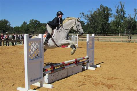 Tech Equestrians Want More Than A Comeback Story Technique