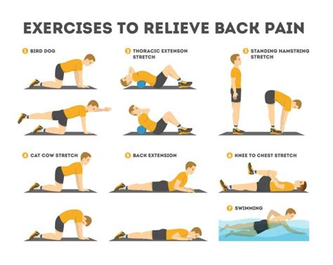 Top 7 Ways To Treat Low Back Pain American Academy Of Medicine