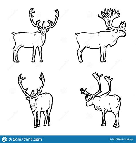 Caribou Vector Illustration Hand Drawn Animal Cartoon Art Stock Vector