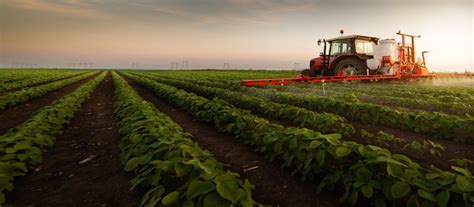 Agriculture And Food Production And Service County Of Grande Prairie No1