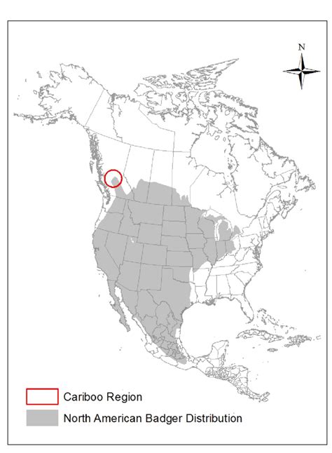 Geographic Range Map Of The North American Badger Taxidea Taxus