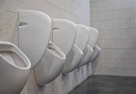 White Urinals In Men S Bathroom Stock Photo Image Of Bowl Design