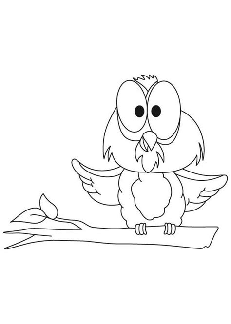 Funny Big Eye Owl Coloring Page Download And Print Online