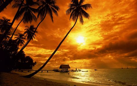 Tropical Sunset Beach Hd Wallpaper