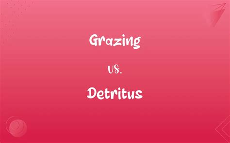 Grazing Vs Detritus Whats The Difference