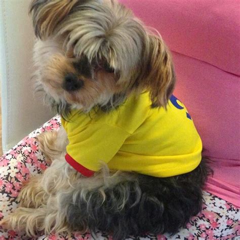 Pocas fueron las sorpresas en la lista previa de los 30 convocados de la selección colombia de cara a brasil 2014. JUGADOR SELECCION COLOMBIA!!!! | World cup 2014, World cup ...