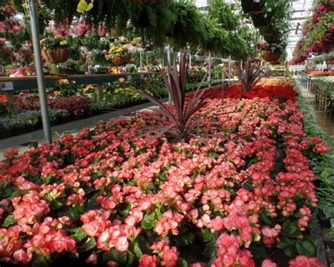 Ebert's Greenhouse Village - Enjoy Jefferson County WI