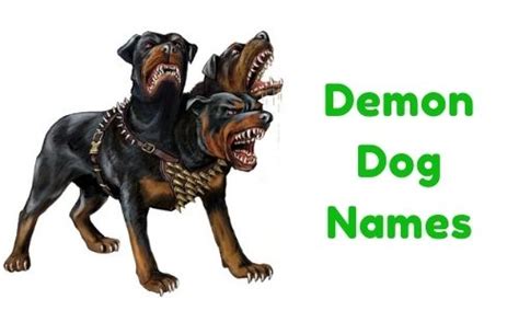 1000 Demon Dog Names Funny Unique Famous Badass