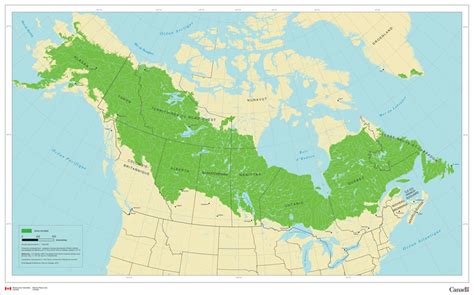 Forêt Boréale Ressources Naturelles Canada