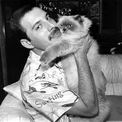 Go inside freddie mercury's relationship with mary austin, the woman who inspired queen's song love of my life. when freddie mercury first met mary austin, he was 24 years old and she was 19. Freddie Mercury Facts: 20 Kickass Facts About Freddie ...