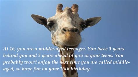 Funny 16th Birthday Wishes And Pictures Vitalcute