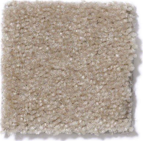 Shaw Carpet This Is It Basketry Textured Carpets The Home