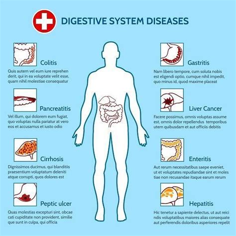 Medical Infographic Medical Infographic Human Digestive System