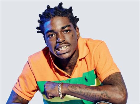 Kodak black is one such american rapper who has been associated with many rap groups from a very small age and now he possesses an overall net worth of $750,000. Kodak Black Net Worth 2016 & 2017 (Hip-hop Artist)