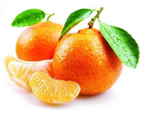 La Dieta De La Mandarina Sus Secretos Blog De Naranjas Lolablog De