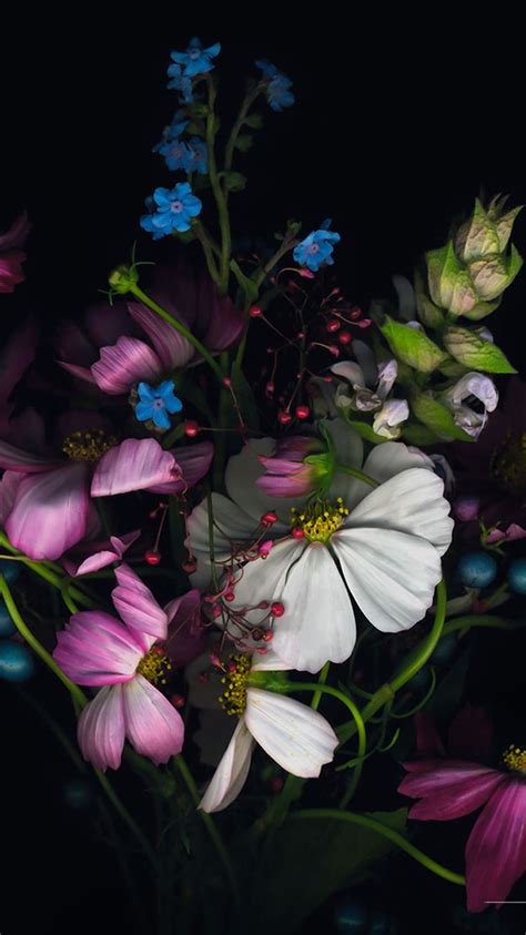 Beautiful Flower Branch In Dark Iphone 8 Wallpapers Free Download