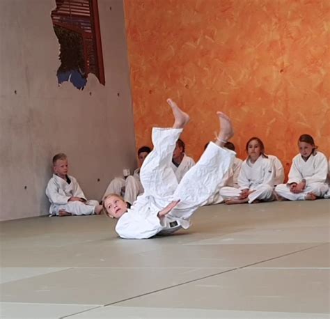 Unsere kleinen Judoka 21 Schülerinnen und Schüler bestehen