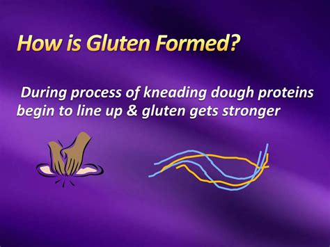 Ppt Gluten Free Diets Powerpoint Presentation Free Download Id1834800