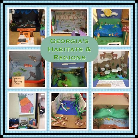 Each topic is covered with worksheets, games, quizzes and more. Dioramas made by 3rd graders on habitats/regions of ...