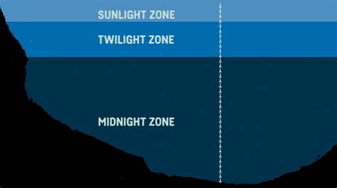 What Are The Sea Zones Explaining Deep Sea Exploration Behind The