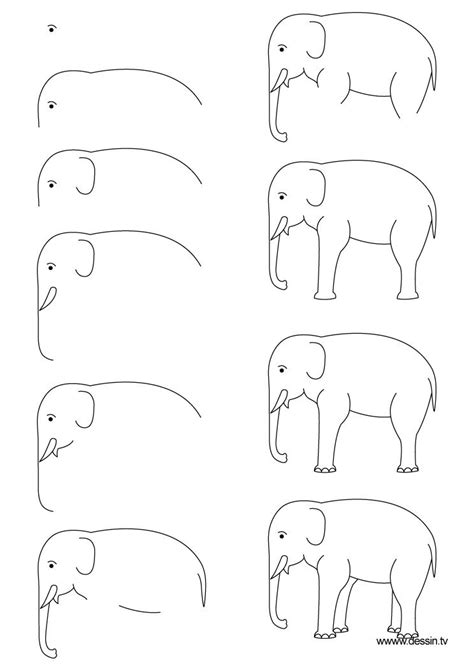 Drawing Elephant Stap Voor Stap Tekenen Tekenen Dieren Tekenen