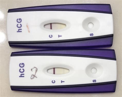 Equate First Signal Pregnancy Test Faint Line Pregnancy Test