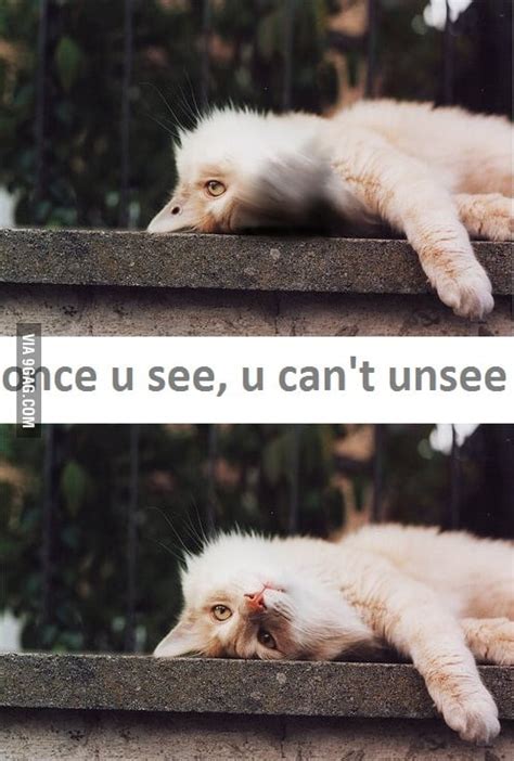 Once You See You Cant Unsee 9gag