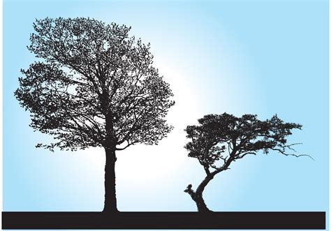 Tree Silhouette Vectors Download Free Vector Art Stock Graphics And Images