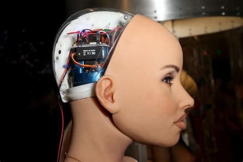 Sex Robot Says Machines Will ‘take Over The World After Her Ai Is