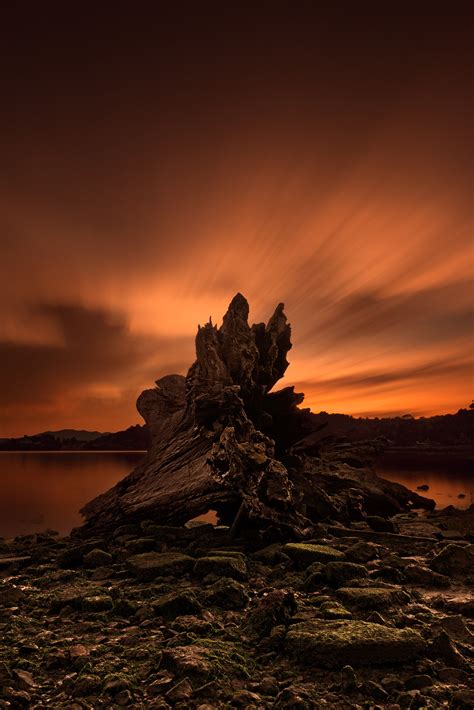 tree stump sunset roger w dormann fine art photographer