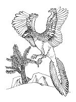 You can introduce the child to different animals in coloring pages on our website. Dinosaurs and Extinct Animals Coloring Pages