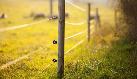 Electric fences allow you to keep animals like dogs or cattle in an enclosed space. Electric Fence Repair for The New Farmer | QC Supply