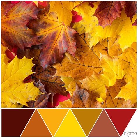 Autumn Color Palette By Pictor Fall Color Palette Abstract Artwork