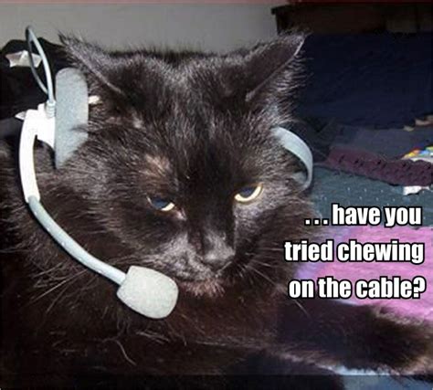 Kitteh Tech Support Bad Cats A Go Go Pinterest Kittens Classic