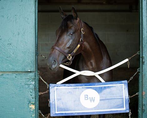 Maxfield Off Derby Trail With Condylar Fracture - BloodHorse