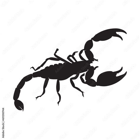 Scorpions Vector Silhouette Illustration Black Color Scorpions King Stock Vector Adobe Stock