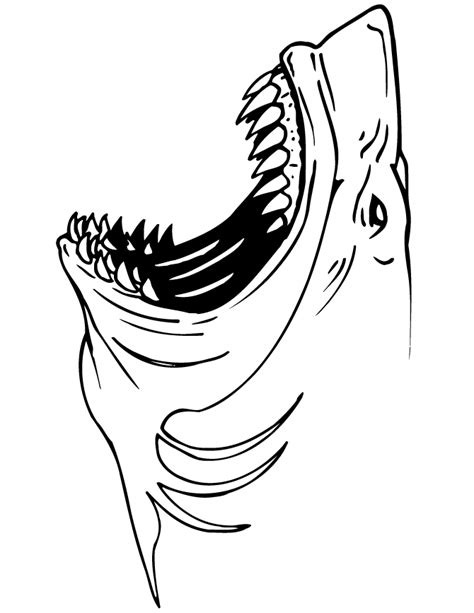 Welcome in free coloring pages site. Shark coloring pages to download and print for free
