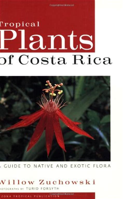 Flowering plants for delivery today. NAMES OF TROPICAL FLOWERS