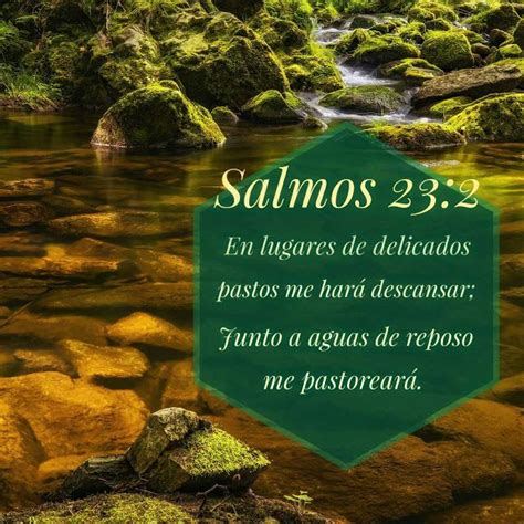 VersÍculos Y Frases Cristianas Los Cuidados Del Pastor Salmo 232