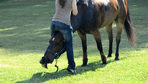 Easy Way To Mount A Horse Youtube