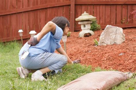 How To Prevent Gardening Injuries