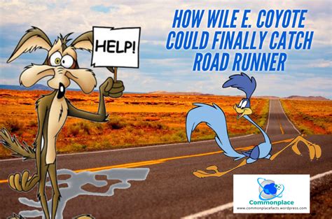 How Wile E Coyote Could Finally Catch Road Runner Commonplace Fun Facts
